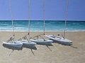 On_the_beach