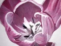 flower_1
