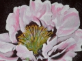 flower_4