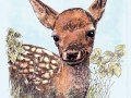 deer