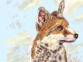 fox