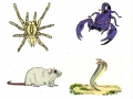 the_invaders